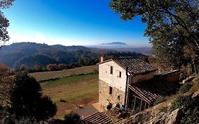 La Casa Del Tartufo Torri In Sabina