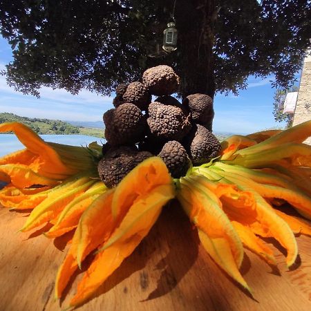 Appartamento La casa del tartufo Torri in Sabina Esterno foto