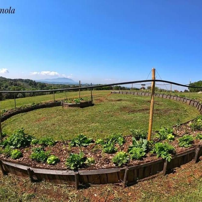 Appartamento La casa del tartufo Torri in Sabina Esterno foto